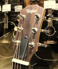 Taylor GS Mini-e Special Edition Blue Paisley_3