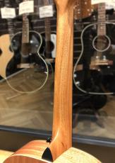 Taylor GS Mini-e Special Edition Blue Paisley_6