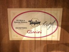 Taylor GS Mini-e Special Edition Blue Paisley_9