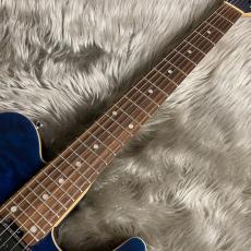 SCHECTER KR-24-2H-FXD (See-thru Blue/PF) (modify) 【現物画像】_9