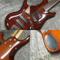 Roscoe LG3005【向暑セール】_9