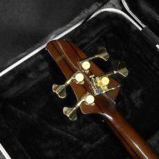 COMBAT GUITARS MSBⅡ Order Model See Throgh Red【向暑セール】_6