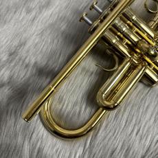 YAMAHA YTR-800GS/GP【USED】_2