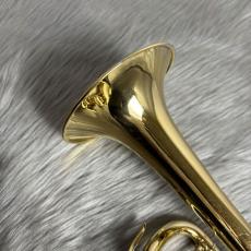 YAMAHA YTR-800GS/GP【USED】_10