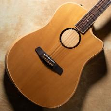 L.R.Baggs AEG-1 TOR Torrefied Sitka Spruce_2