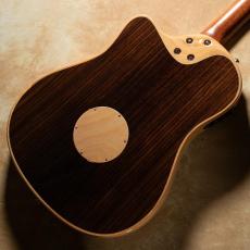 L.R.Baggs AEG-1 TOR Torrefied Sitka Spruce_5