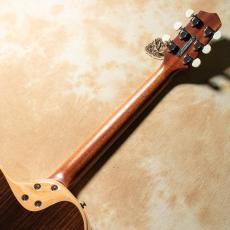 L.R.Baggs AEG-1 TOR Torrefied Sitka Spruce_6