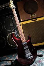 MUSIC MAN LUKE / 1996_3