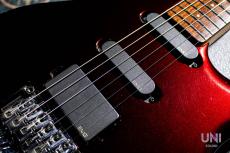 MUSIC MAN LUKE / 1996_6