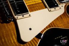 Gibson Les Paul Traditional Plus 2016 T / 2016_6