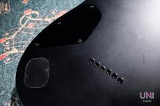 Ibanez RGRTB621 IronLabel_8