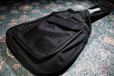Ibanez RGRTB621 IronLabel_11