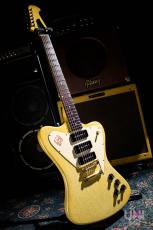 Gibson Non Reverse Firebird P-90_2
