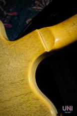 Gibson Non Reverse Firebird P-90_8