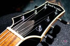 Sadowsky Semi Hollow Model VAM (Vintage Amber)_3