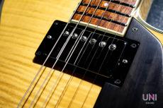 Sadowsky Semi Hollow Model VAM (Vintage Amber)_4