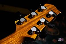 Sadowsky Semi Hollow Model VAM (Vintage Amber)_8