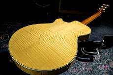 Sadowsky Semi Hollow Model VAM (Vintage Amber)_9