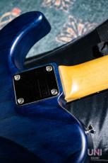 SCHECTER KR-24-2H-FXD-AS PBT/E_8