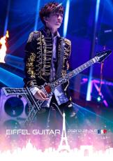 ESP Eiffel Guitar (L'Arc～en～Ciel tetsuya Model)_11