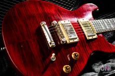 Gibson Les Paul Standard DC Plus / 2001