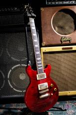 Gibson Les Paul Standard DC Plus / 2001_2