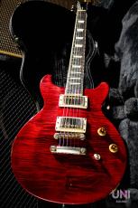 Gibson Les Paul Standard DC Plus / 2001_9