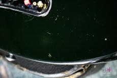 Gibson L-9S Ripper Fretless / 1979_8