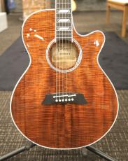 Takamine TSP178ACK N #62070300【実物写真】【福岡ミーナ天神店】【分割手数料0%】【送料当社負担】