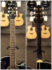 Takamine DMP552C DBS #62090372 【当店限定特典付】【福岡店在庫】【48回分割無金利】【送料当社負担】_9