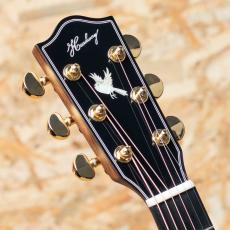 Headway HOC-NORTHBIRD_4