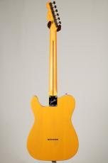 Fender American Professional Classic Telecaster -Butterscotch Blonde- [3.30kg]_4