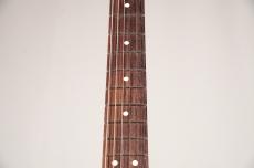 Fender American Professional Classic Stratocaster -Faded Dakota Red- [3.48kg]_9