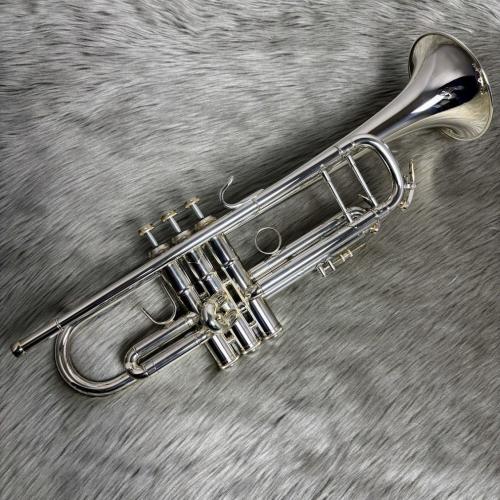 B&S TP37SP