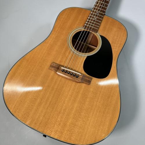 Martin D-18【現物写真】【2007年製】
