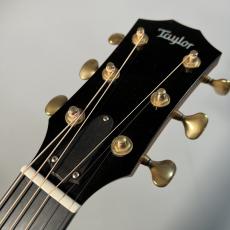 Taylor K24ce JPNLTD2016【現物写真】_7