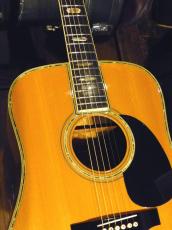Morris '70s W-100 TF Series_7