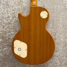 Epiphone Les Paul Standard Plustop_2