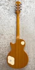 Epiphone Les Paul Standard Plustop_4