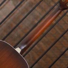 IRIS GUITAR COMPANY The DF Model Tobacco Burst_7