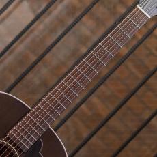 IRIS GUITAR COMPANY The DF Model Tobacco Burst_8