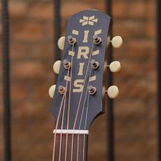 IRIS GUITAR COMPANY The DF Model Tobacco Burst_9