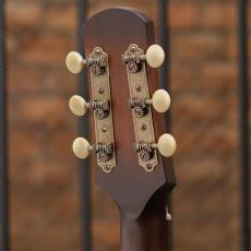 IRIS GUITAR COMPANY The DF Model Tobacco Burst_10