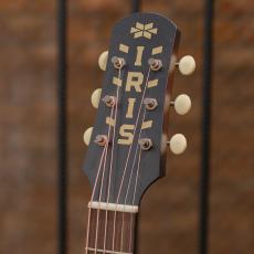 IRIS GUITAR COMPANY The BB Model Adirondack Spruce Tobacco Burst_9
