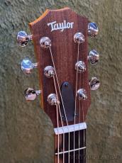 Taylor GS Mini-e Special Edition Fuchsia Pink Paisley #2203315200【48回迄金利0%対象】【送料当社負担】_4