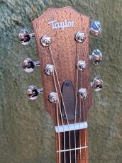 Taylor GS Mini-e Special Edition Blue Paisley #2203315182【48回迄金利0%対象】【送料当社負担】_4