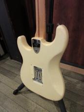 Fender 1979 Stratocaster Olympic White/Rose_6