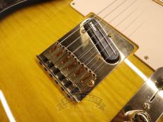 Fender 2019 Exclusive Richie Kotzen Telecaster_14