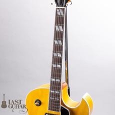 Tokai FA-201 VNT_5