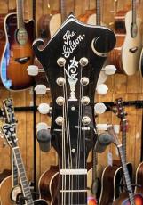 Gibson F-5G "New 2023 Specs" #50429012_5